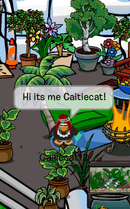 Caitiecat12's Club Penguin Cheats